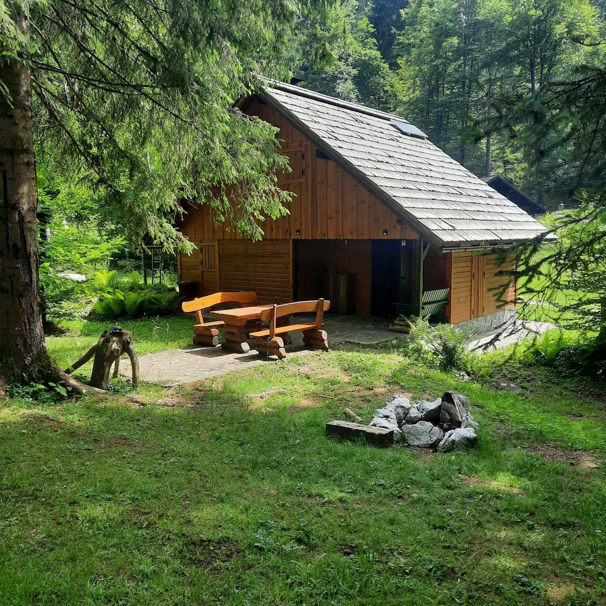Koca V Gozdu, Forest House Near בלד מראה חיצוני תמונה