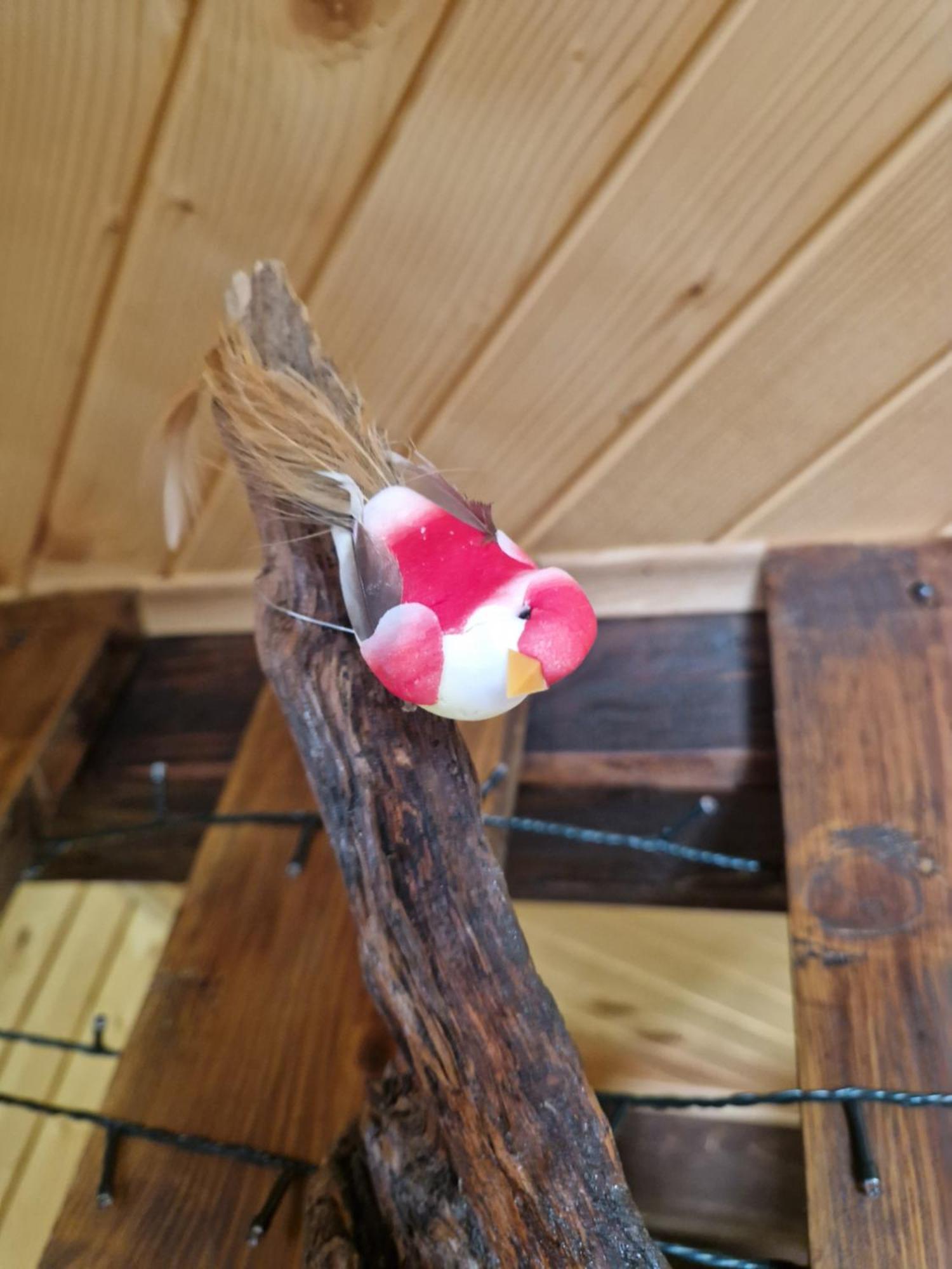 Koca V Gozdu, Forest House Near בלד מראה חיצוני תמונה