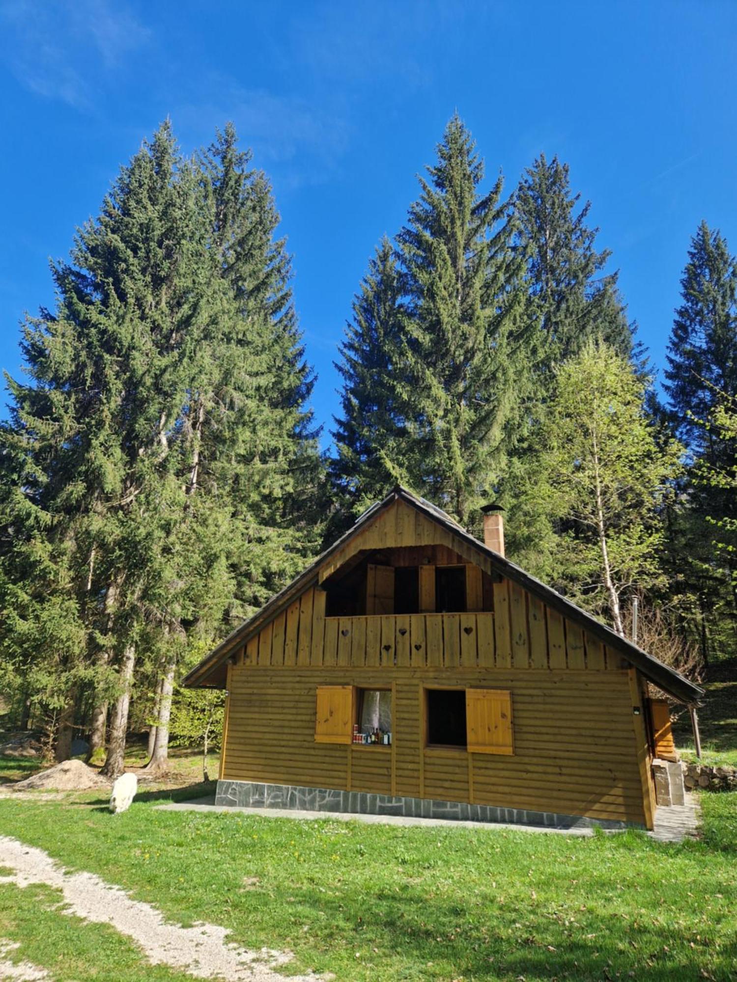 Koca V Gozdu, Forest House Near בלד מראה חיצוני תמונה
