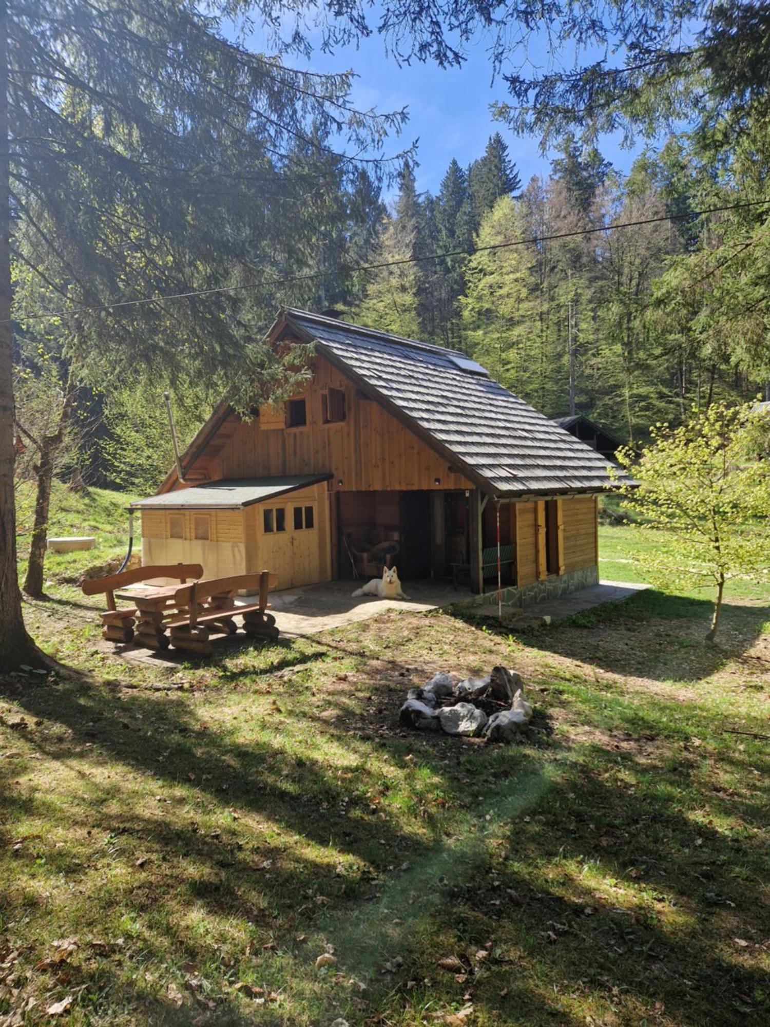 Koca V Gozdu, Forest House Near בלד מראה חיצוני תמונה