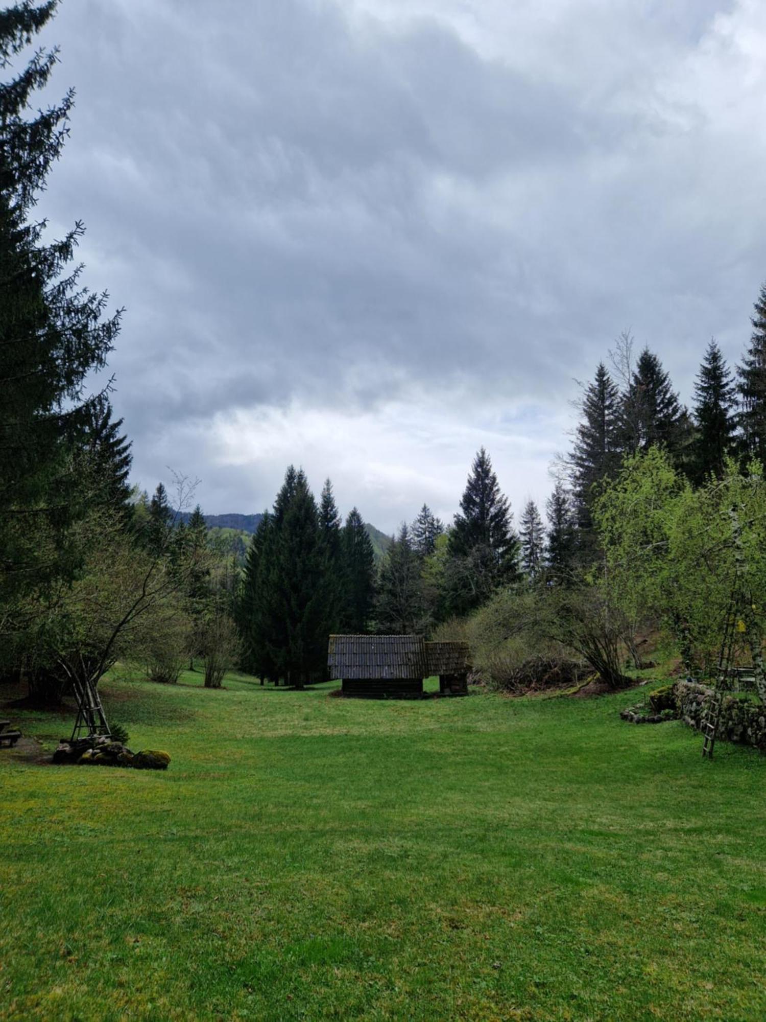 Koca V Gozdu, Forest House Near בלד חדר תמונה